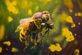 Honey bee in a gas mask. The concept of pollution of the environment flowers meadows bad ecology. Generative AI