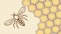 Honey Bee & Hexagon Pattern Vector Background, vector design Generative AI Royalty Free Stock Photo