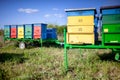 Honey bee hives Royalty Free Stock Photo