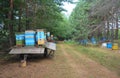 Honey bee hives on trailer. Relocating honey bees in forest