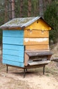 Honey bee hives in winter. Beekeeping.