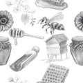 Honey bee honeycomb jar beehive illustration hand drawn set large separately on white background sketch doodle