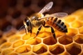 Honey bee on a honeycomb. Macro shot with shallow depth of field, Macro shot of a bee on honeycombs. Macro photography, AI Royalty Free Stock Photo