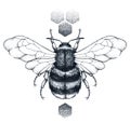 Honey bee and honeycomb tattoo. Dotwork tattoo. Symbol of diligence Royalty Free Stock Photo