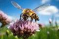 a honey bee hovering over a clover flower