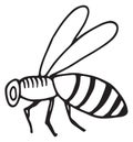 Honey bee icon. Hand drawn humblebee sketch