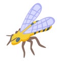 Honey bee icon isometric vector. Work garden village Royalty Free Stock Photo