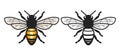Honey Bee Illustration Icon Designs Royalty Free Stock Photo