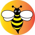 Honey bee illustration icon or Logo