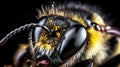 Honey bee macro shot, close-up, dark background. Agricultural farming insect. AI generated. Royalty Free Stock Photo