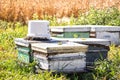Honey bee nests countryside Royalty Free Stock Photo