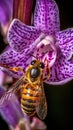 Honey bee pollinating a stunning lavender orchid flower. Generative AI