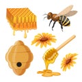 honey bee set cartoon vector illustration Royalty Free Stock Photo