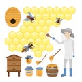 Honey bee set. Royalty Free Stock Photo