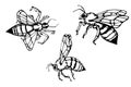 Honey bee set. Vector. Set of honey and bee labels for honey logo products. Isolated insect icon. Flying bee. vector