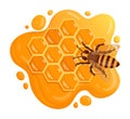 Honey bee sitting on honeycomb. Cartoon honey comb with sweet melting honey, honeycraft and beekeeping flat vector illustration Royalty Free Stock Photo