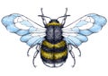 Honey bee tattoo. Dotwork tattoo. Symbol of diligence