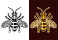 Honey bee two styles black and colorful vector Royalty Free Stock Photo