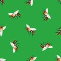 Honey bee vector seamless pattern background. Delicate hand drawn striped flying insect on grass green backdrop. Garden