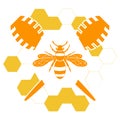 Honey bee or wasp. Honey logo with a bee or wasp and honeycomb in orange color isolated on white background. Modern flat design