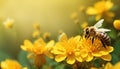 Honey bee and beautiful yellow flower, spring summer season, Wild nature landscape, banner, beauty in Nature - ai generated Royalty Free Stock Photo