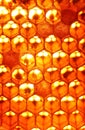 Honey beehive, unfinished making in honeycombs