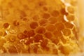 Honey beehive