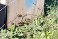 Honey bees activity in a traditional wooden bee hives in huelva mountains for the pollination of plantations Royalty Free Stock Photo