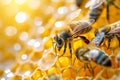 Honey bees busily working in a honeycomb Royalty Free Stock Photo