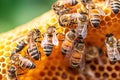 Honey Bees on Honeycomb Busy Apiary Buzzing with Summertime Activity. created with Generative AI