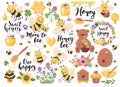 Honey, bees, quotes and beekeeping set