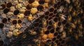 The honey bees on hive.AI generated image Royalty Free Stock Photo