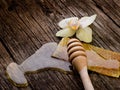 Honey with beeswax and flower