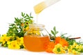 Honey Body Sugaring