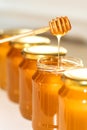 Honey in bottles in a row and honey dipper Royalty Free Stock Photo