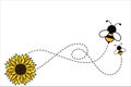 honey bumble bee flying and sun flower vector background poster illustration