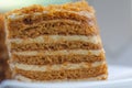honey cake closeup, thin layers and cream