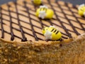 Honey cake with edible bees on top, the top of the cake is decorated in a cage of chocolate lines. concept for birthday, meeting