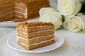 Honey cake with layers and pastry cream on plate, closeup view. Slice of delicious Medovik cake