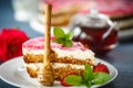 Honey cake with strawberries Royalty Free Stock Photo
