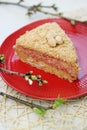 Honey cake with strawberry jam Royalty Free Stock Photo