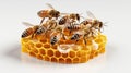 Honey cell with bees on white background. Generative AI