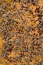 Honeycomb with bees background. Royalty Free Stock Photo