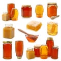 Honey collection Royalty Free Stock Photo