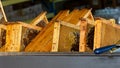 Honey collection, honeycombs in beekeepers` workshop