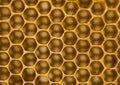 Honey comb Royalty Free Stock Photo