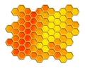 Honey comb Royalty Free Stock Photo