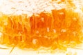 Fresh honey comb as background Royalty Free Stock Photo