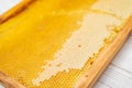Honey comb close-up. Yellow half-empty honeycomb Royalty Free Stock Photo