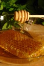 Honey comb and Drizzler Royalty Free Stock Photo